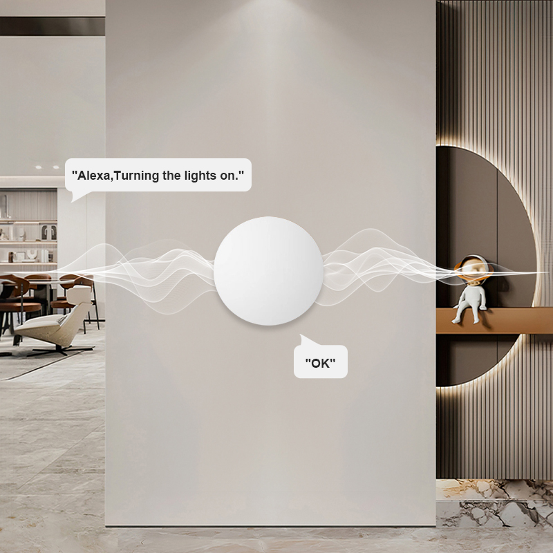 ZigBee Smart Wireless Button S - Home Office Google ulasan dan harga